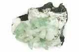 Gemmy Apophyllite Crystals with Stilbite - India #243885-2